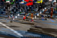 Moruya Town to Surf Fun Run