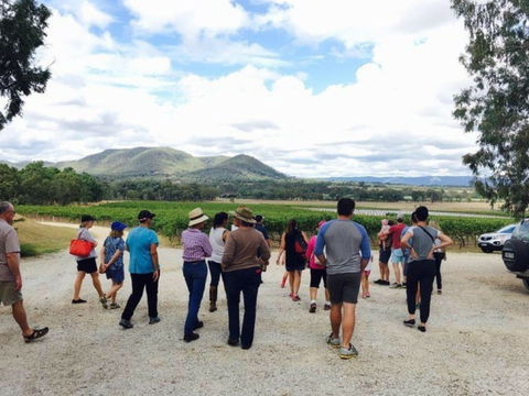Mudgee Farm Walks - Great Ocean Road Restaurant 1