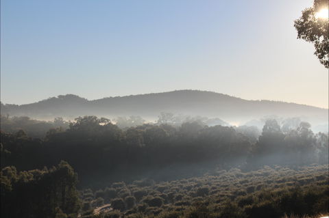 Mudgeeque - Great Ocean Road Restaurant 0