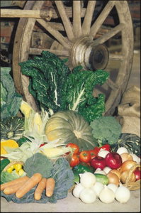 Mulgowie Real Farmers Markets