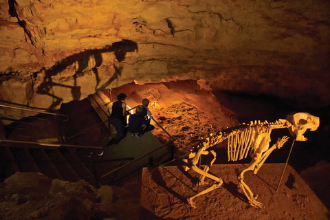 Naracoorte World Heritage Festival And Run - Great Ocean Road Restaurant 0