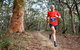 Raffertys Coastal Run - thumb 2