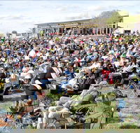 Riverfest Food Wine and Music Festival - Great Ocean Road Restaurant
