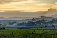 Rotary Club of Maffra Community Market