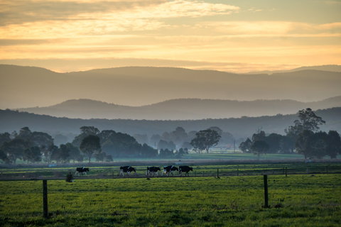 Rotary Club Of Maffra Community Market - Great Ocean Road Restaurant 0