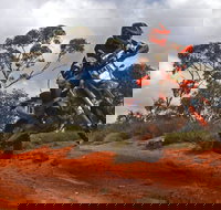 Sunraysia Safari Rally - Great Ocean Road Restaurant