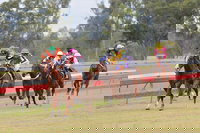 Book Thangool Accommodation Vacations Great Ocean Road Restaurant Great Ocean Road Restaurant