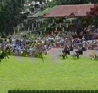 Tumut Boxing Day Races - Great Ocean Road Restaurant