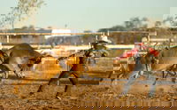 Walgett Charity Bushman's Carnival Rodeo and Campdraft