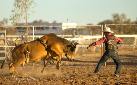 Walgett Charity Bushman's Carnival Rodeo And Campdraft - Great Ocean Road Restaurant 0