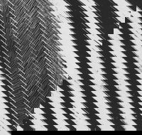 WA Now  Tom Mller Monolith Scores - Great Ocean Road Restaurant