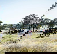 Weddin Mountain Muster - Great Ocean Road Restaurant