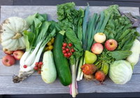 Wingham Farmers Market