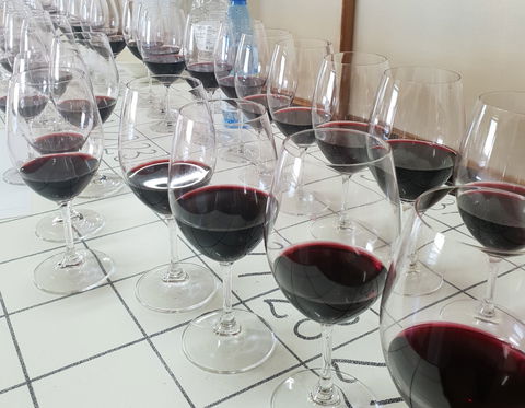 Australian Cool Climate Wine Show - Great Ocean Road Restaurant 1