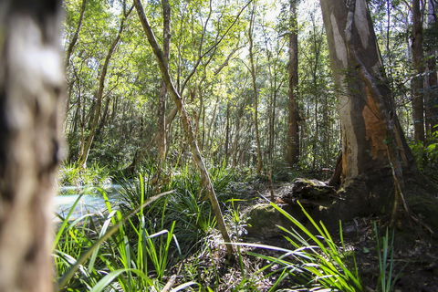 Bottlebutt Bash Trail Run - Great Ocean Road Restaurant 0