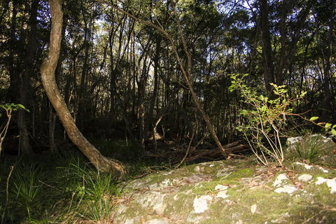 Bottlebutt Bash Trail Run - Great Ocean Road Restaurant 1
