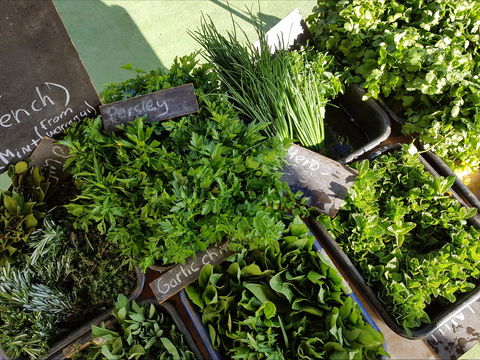 Carlton Farmers' Market - Great Ocean Road Restaurant 2