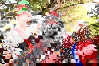 Christmas on the Plains - Quirindi