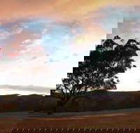 Christmas in July Jumpers and Jazz - Great Ocean Road Restaurant