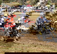 Dust Hustle Queensland Moto Park - Great Ocean Road Restaurant