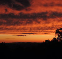 Father's Day at Cottontail Wines - Great Ocean Road Restaurant