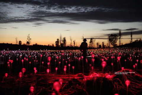 Field Of Light Uluru - Great Ocean Road Restaurant 0