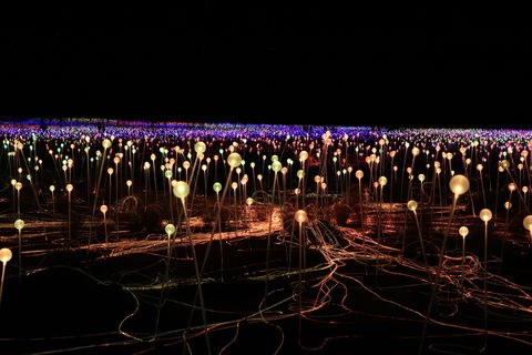Field Of Light Uluru - Great Ocean Road Restaurant 1
