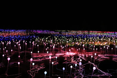 Field Of Light Uluru - Great Ocean Road Restaurant 2