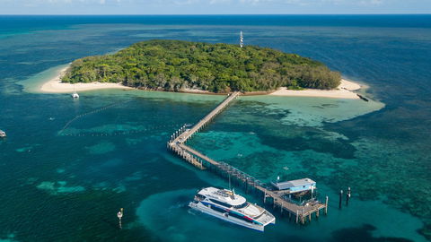 Great Adventures Green Island Ocean Swim - Great Ocean Road Restaurant 0