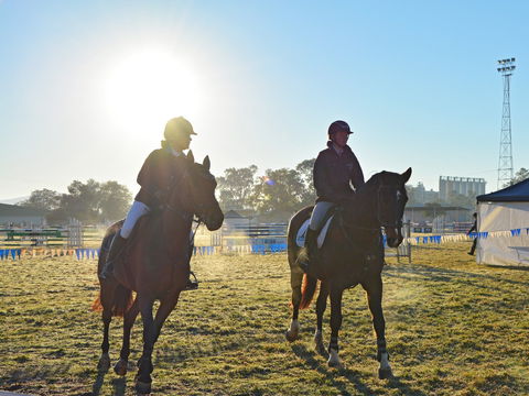 Gunnedah Showjumping Festival - Great Ocean Road Restaurant 0