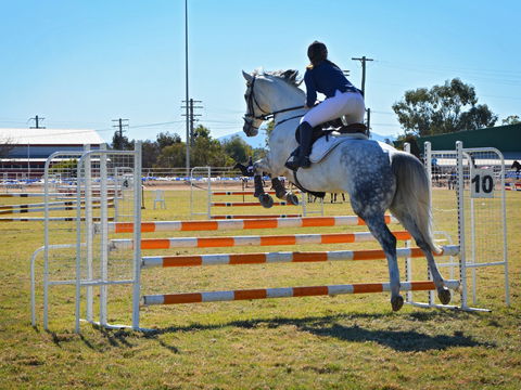 Gunnedah Showjumping Festival - Great Ocean Road Restaurant 1