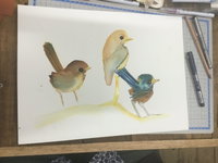 Ink  Watercolour Wash Illustration Workshop