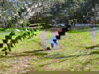 July 2020 Holidays- Forest Adventures Treasure Hunt