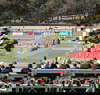 JumpingWillinga - Great Ocean Road Restaurant