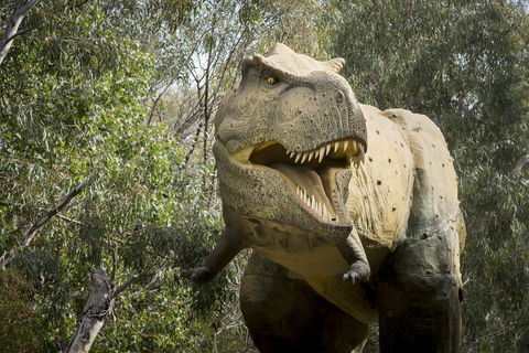 Lost Sanctuary At Healesville Sanctuary - Great Ocean Road Restaurant 2