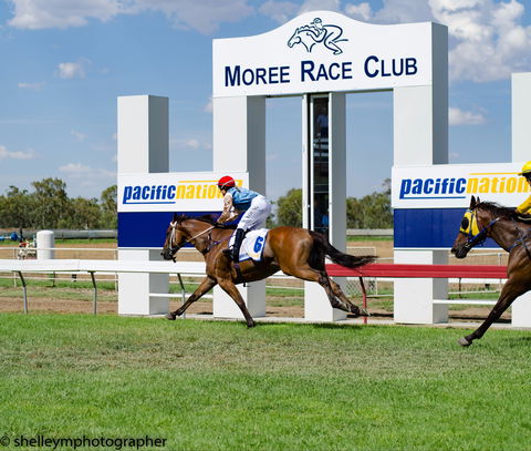 Moree Race Club TAB Race Day - Great Ocean Road Restaurant 0