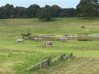 Book Wandilo Accommodation Vacations Great Ocean Road Restaurant Great Ocean Road Restaurant