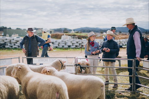 Mudgee Small Farm Field Days - Great Ocean Road Restaurant 0