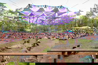 Mushroom Valley Festival