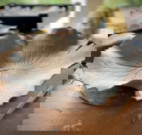 Online live streaming class DIY Clay Hand Building for Beginners - Great Ocean Road Restaurant