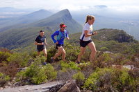 Peaks and Trails Run