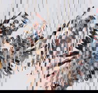Pulse Perspectives - Virtual Exhibition - Great Ocean Road Restaurant