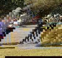 Sculpture for Clyde - Outdoor Exhibition - Great Ocean Road Restaurant