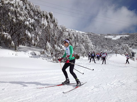 Snow, Trek And Travel High Plains Tour - Great Ocean Road Restaurant 2