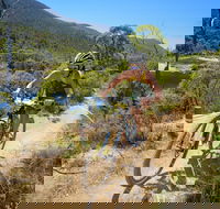 TreX Cross Triathlon Series  Snowy Mountains - Great Ocean Road Restaurant