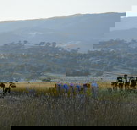 Tumut Cycle Classic - Great Ocean Road Restaurant