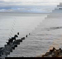 Whale Watching in Portland - Great Ocean Road Restaurant