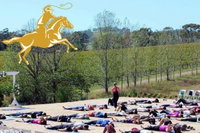 Yoga in the Vines