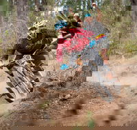 Fox Superflow sealed by Stan's Race  Greenvalleys - Great Ocean Road Restaurant