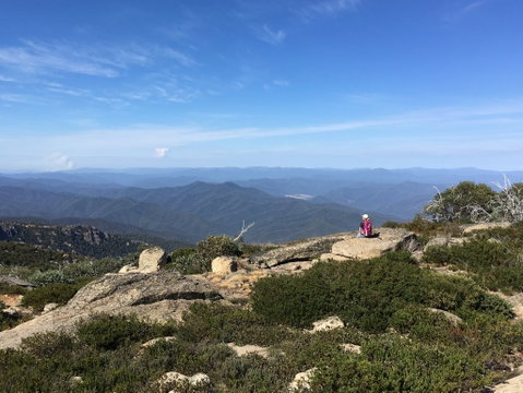 Hedonistic Hiking's Buffalo And Bubbles - Great Ocean Road Restaurant 1